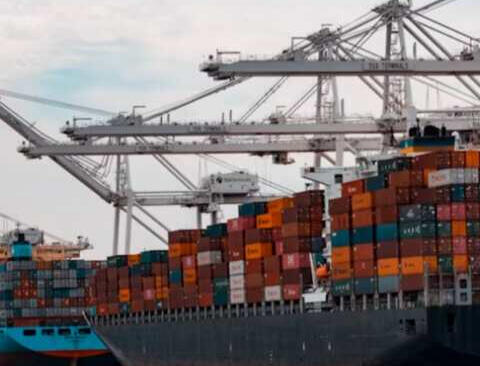 Logistique internationale GRITFOL Porte-conteneurs et grues portuaires illustrant les capacités logistiques internationales de GRITFOL